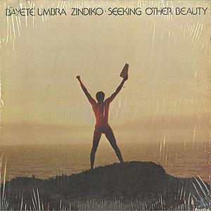 【26枚】Soul Jazz サンプリングソース vinyl まとめ売り Bayete Umbra Zindiko / Seeking Other Beauty(LP) / Prestige