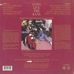 BIG DADDY KANE Prince of Darkness2枚組レコード Big Daddy Kane – Prince Of Darkness – CD (Album, Club