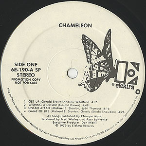 end of the world Chameleon LP アナログ レコード