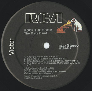Rock The Room(LP)