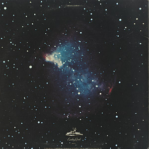 James Vincent / Space Traveller(LP) / Caribou 1976 US
