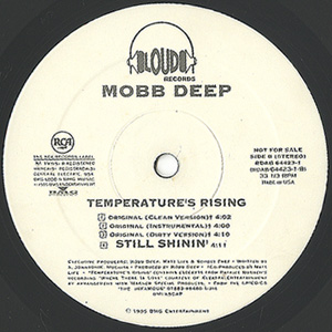 Temperature's Rising/Still Shinin(12)