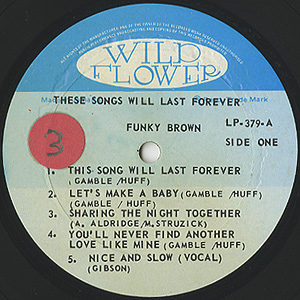 洋楽 Funky Brown These Songs Will Last Foreve Funky Brown – These Songs Will Last Forever – Vinyl (LP