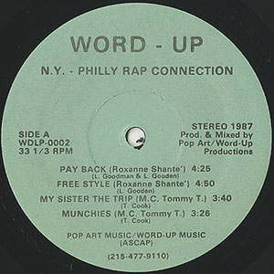 N.Y. - Philly Rap Connection(LP)