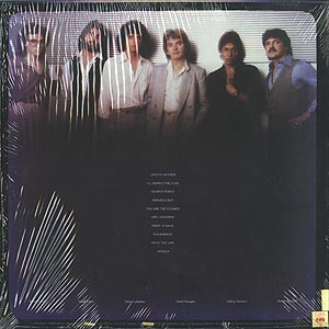 Toto / Toto (LP) / Columbia 1978 USオリジナル盤 EX/EX