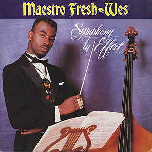 MAESTRO FRESH WES USオリジナル LP Hiphop R&B